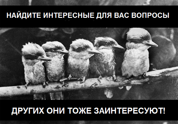 Вы можете найти интересную