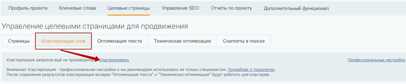 Управление seo проектами