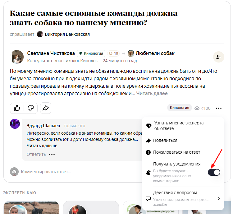 Яндекс.Кью: инструкция по применению для бизнеса