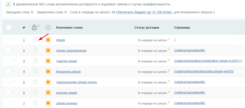 Как закрепить ключевые слова в списке продвигаемых запросов