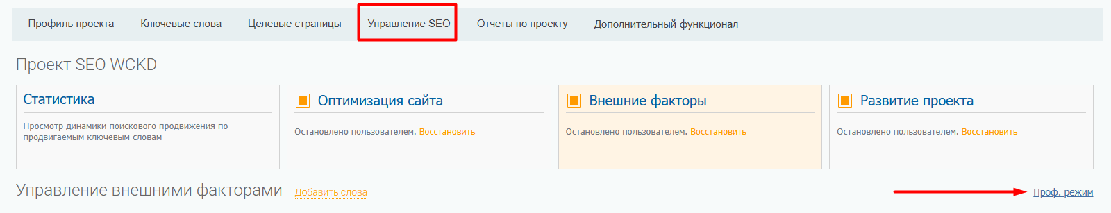 Что такое поисковое продвижение сайтов (SEO), как оно работает и как сделать его самостоятельно